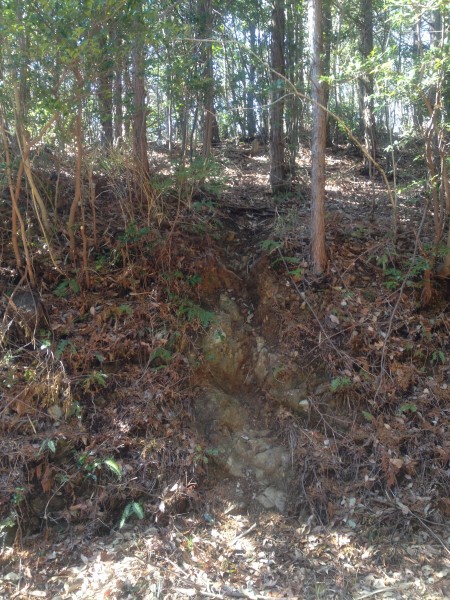 「やまログ」使って雨生山、金山へ 2月16日