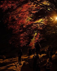 香嵐渓の紅葉を見に初めて行ってきました