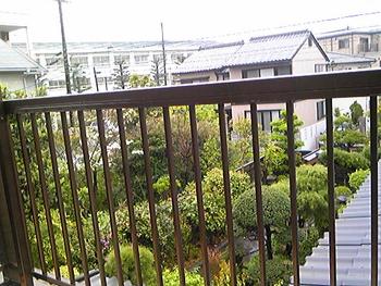 どすごい雨だね(∋_∈)