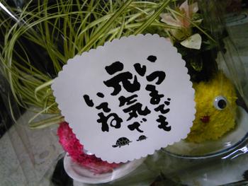 可愛いらぁ~♪