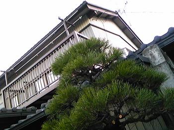 三代目。