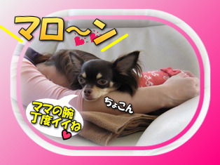むぎゅ~っ!!