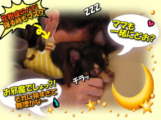 【dog】パパの腕の中でモゾモゾ