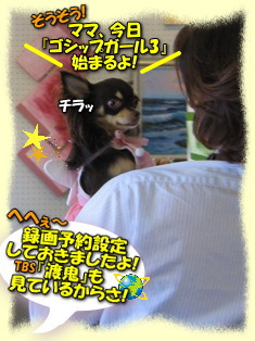 アート探索開始!