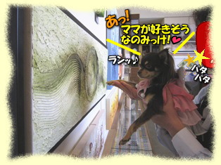 アート探索開始!