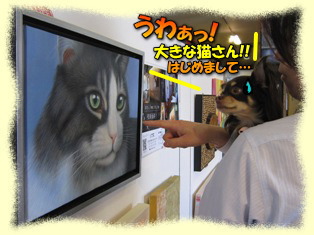 アート探索開始!