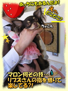アート探索開始!