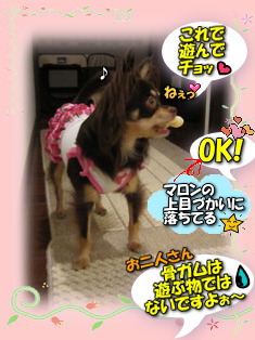 危険な遊び?