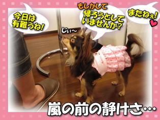 嵐