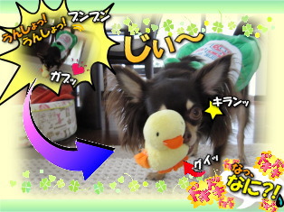 待ちきれなくて