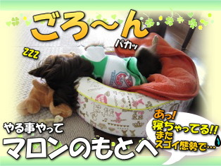 待ちきれなくて