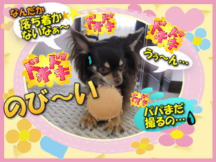 隠れちゃおう!