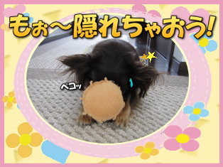 隠れちゃおう!