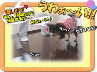 掃除は楽しい