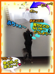 とどかないよぉ~!
