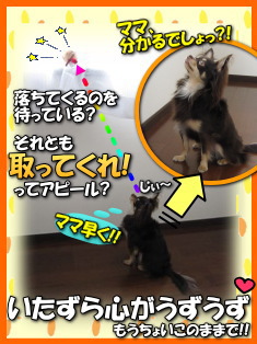 とどかないよぉ~!