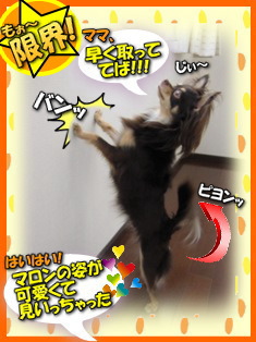 とどかないよぉ~!