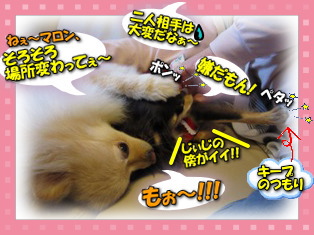 イイ子で待機!