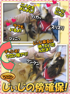 イイ子で待機!