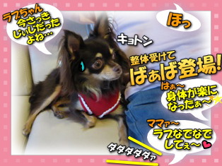 イイ子で待機!