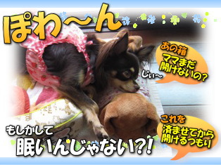 睡魔との闘い
