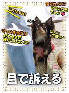 訴え上手