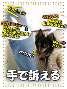 訴え上手