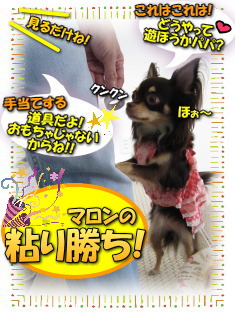 訴え上手