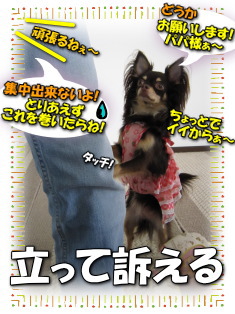 訴え上手