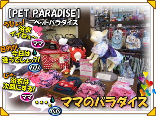 ラブちゃんへのプレゼント