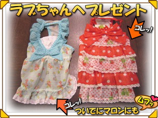 ラブちゃんへのプレゼント