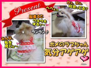 ラブちゃんへのプレゼント