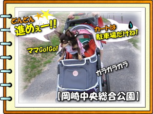 カートから降りて運動しよう!