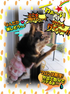 遊びたいけど