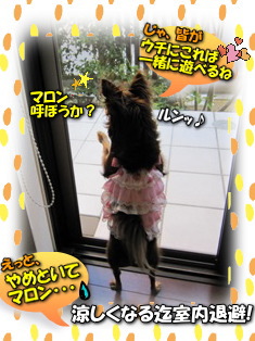 遊びたいけど