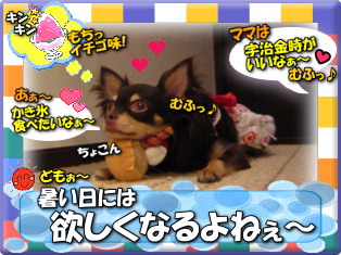 暑い日には