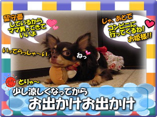 暑い日には
