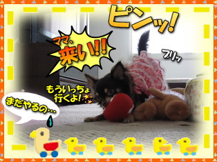 遊び足りなくて