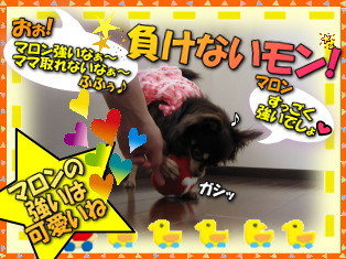 遊び足りなくて