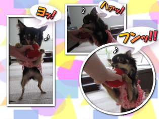 遊び足りなくて