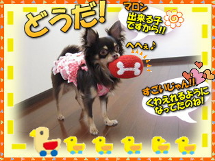 遊び足りなくて