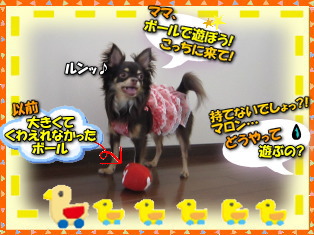遊び足りなくて