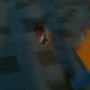 冬の夕方散歩