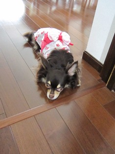 涼しげに浴衣姿