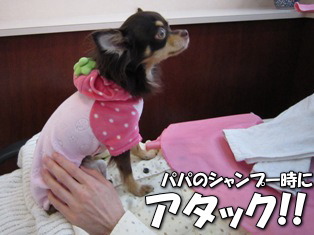 パパママの美容室②