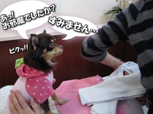 パパママの美容室②