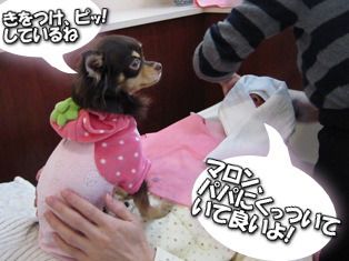 パパママの美容室③