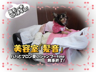 パパママの美容室③