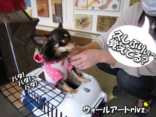 アートに囲まれて