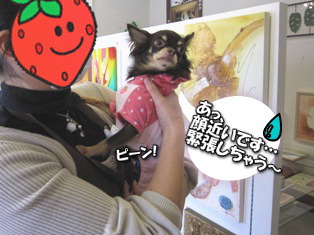 アートに囲まれて